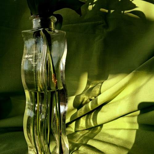 Photo #13615191