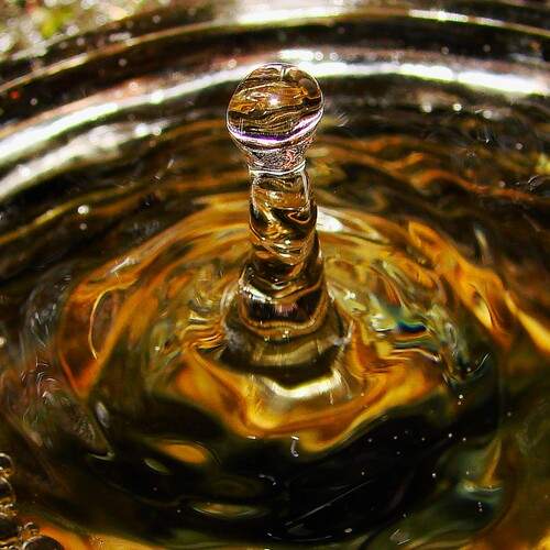 Photo #13615224