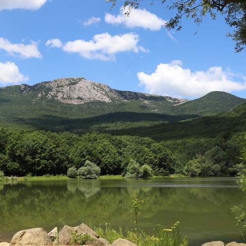 Photo #13615227