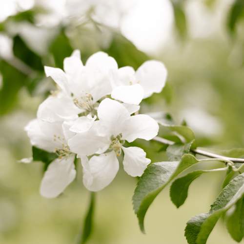 Photo #13615253