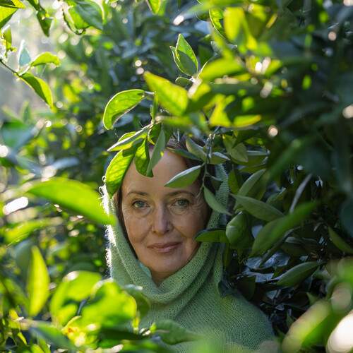 Photo #13615285