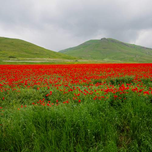 Photo #13615325