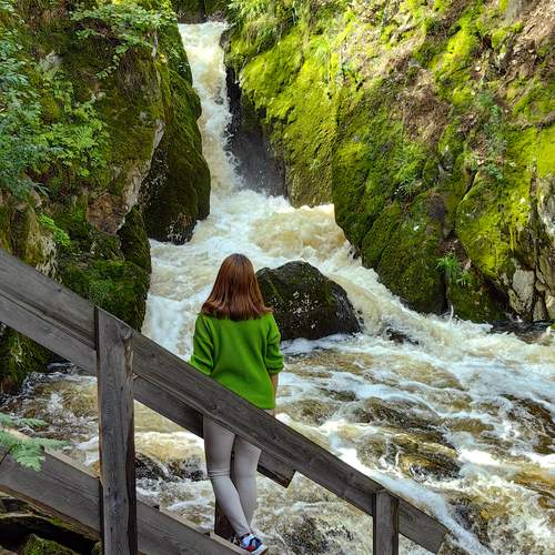 Photo #13615452