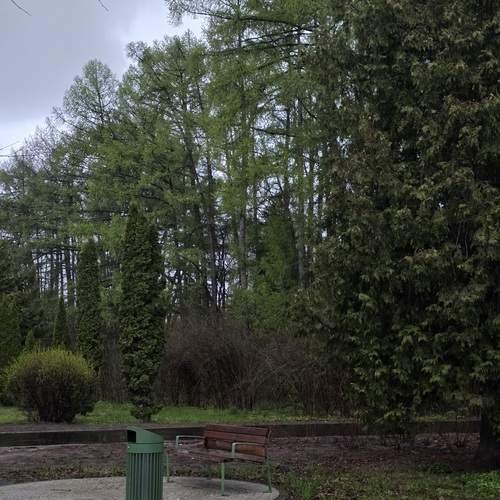 Photo #13615464