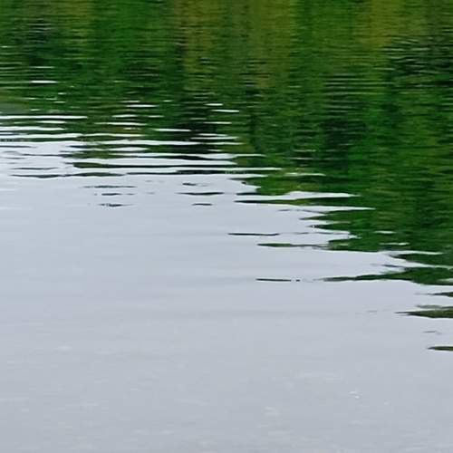Photo #13615487