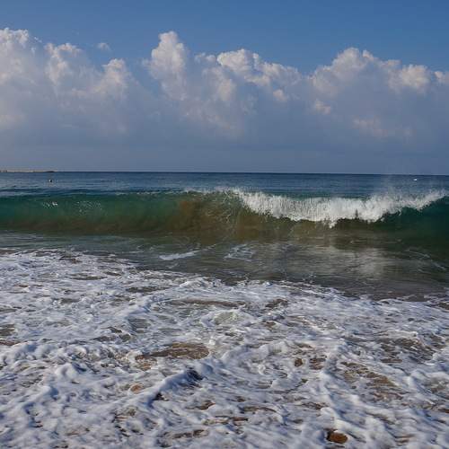 Photo #13615543