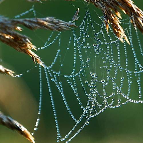 Photo #13615550