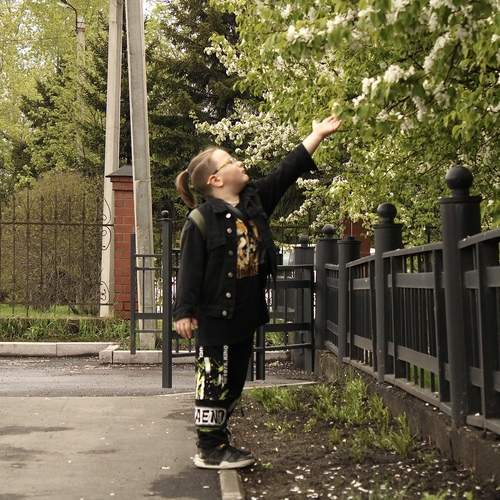 Photo #13615551