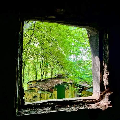 Photo #13615569