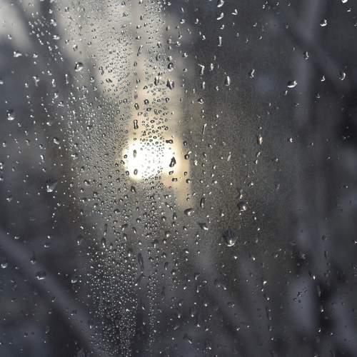Photo #13615789