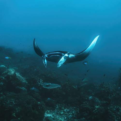 Photo #13616278