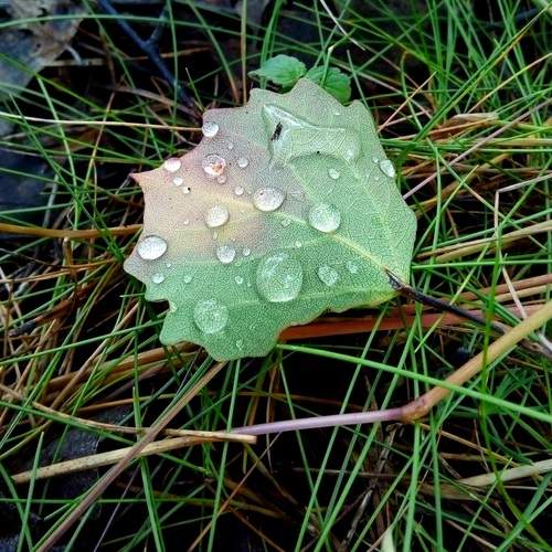 Photo #13616313