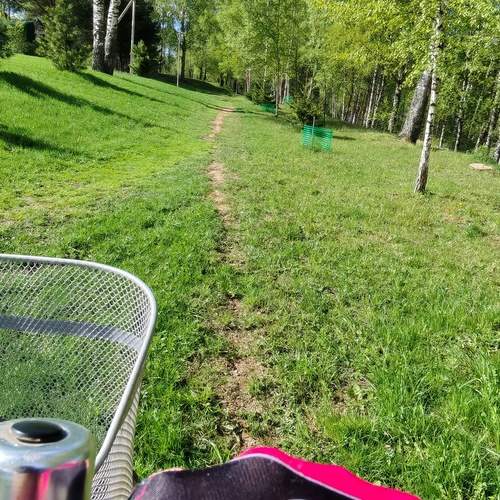 Photo #13616429