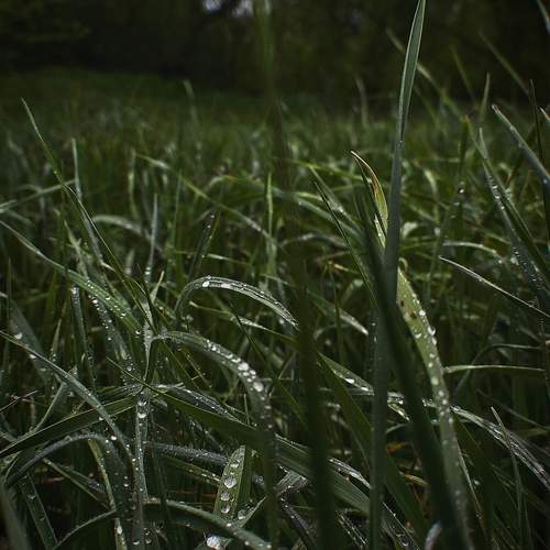 Photo #13616444