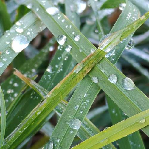 Photo #13616470