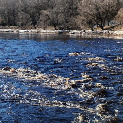 Photo #13616484