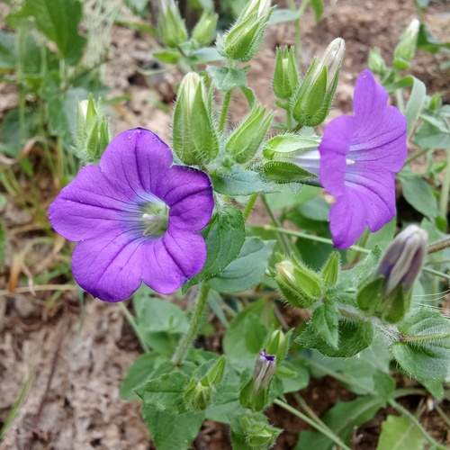 Photo #13616519