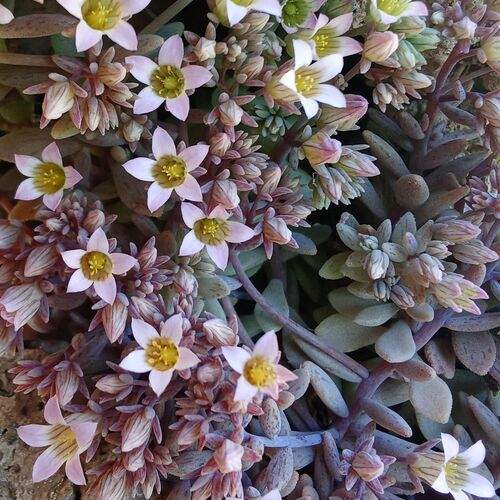 Photo #13616531