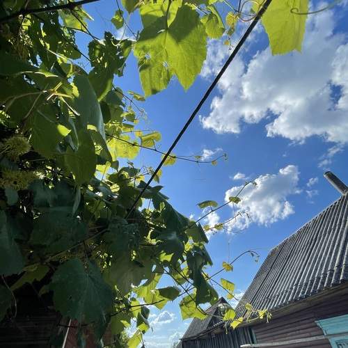 Photo #13616532