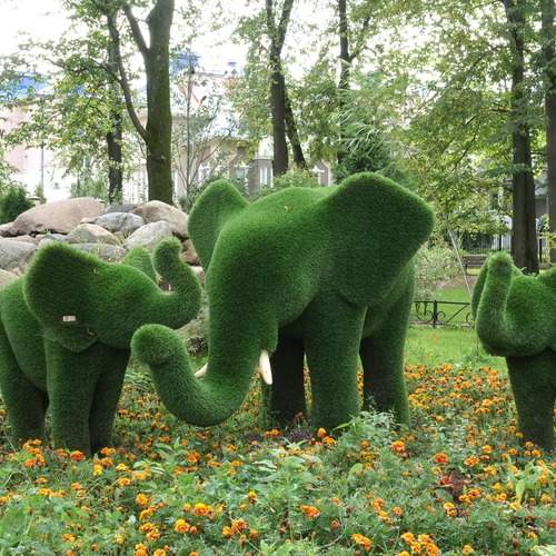 Photo #13616569