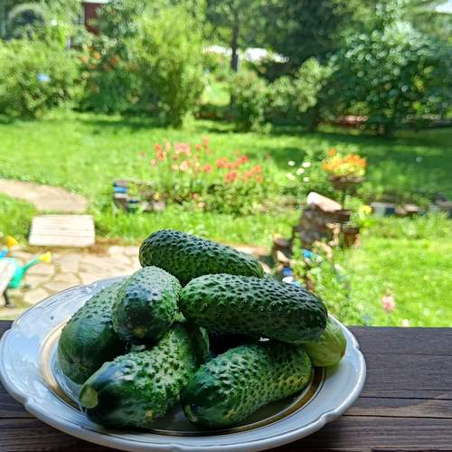 Photo #13616570
