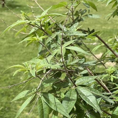 Photo #13616666