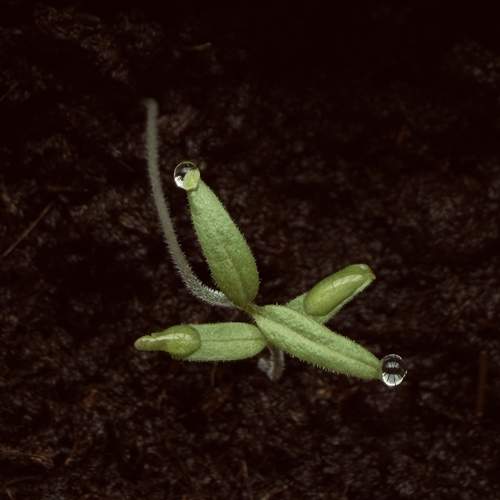 Photo #13616734
