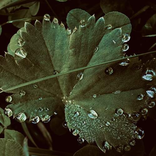 Photo #13616736