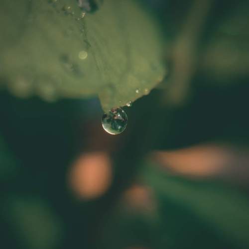 Photo #13616783