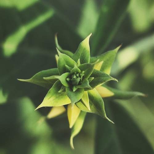 Photo #13616793