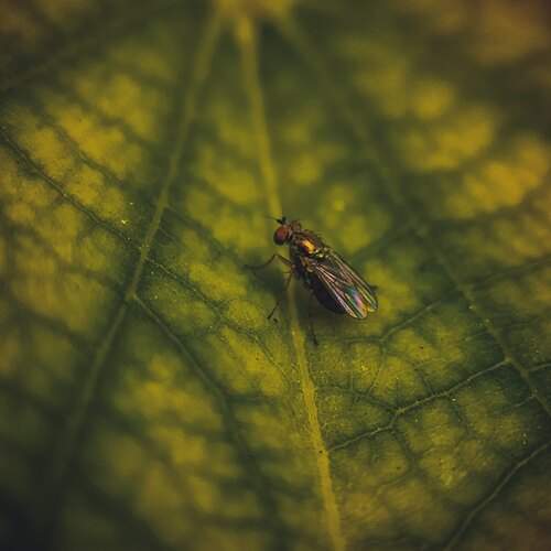 Photo #13616795