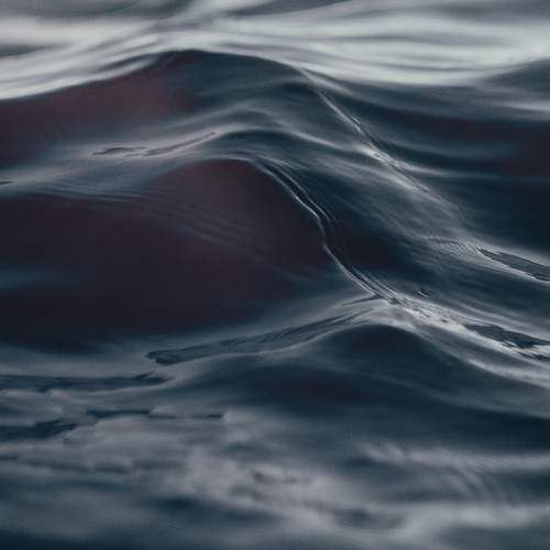 Photo #13616885