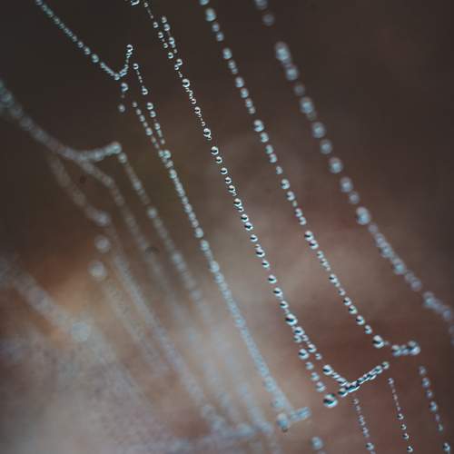 Photo #13616889