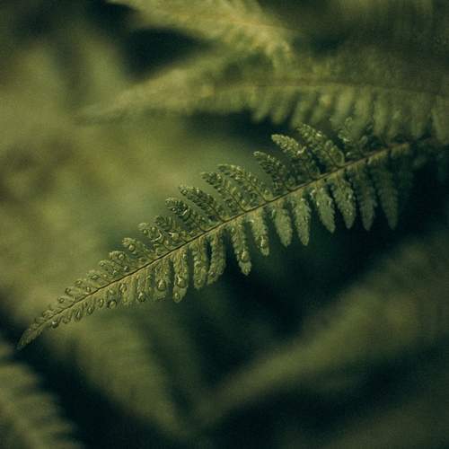 Photo #13616916