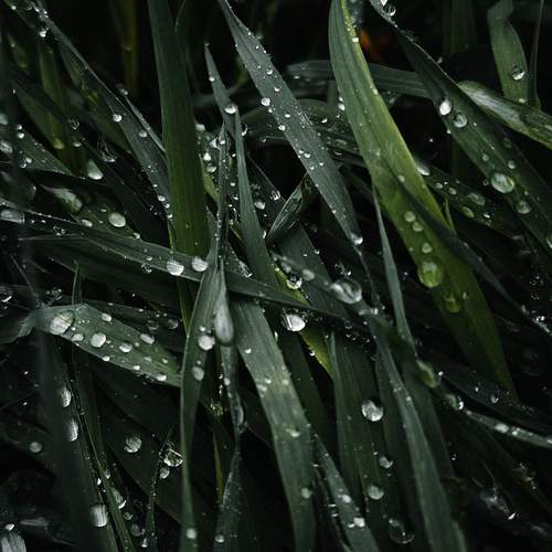 Photo #13616930