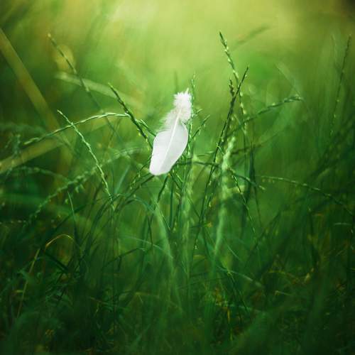 Photo #13617023