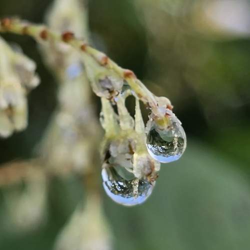 Photo #13617057
