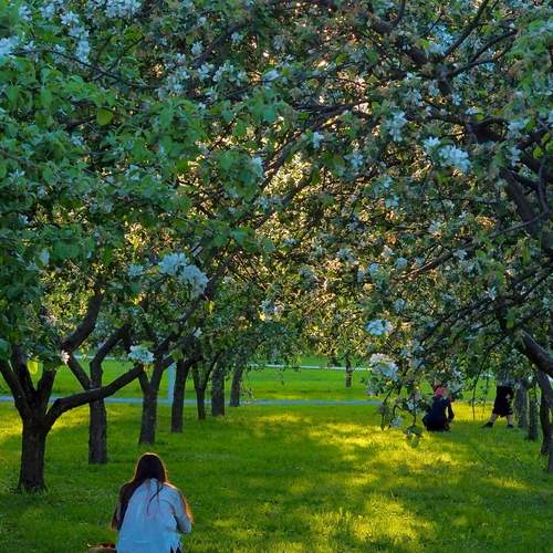 Photo #13617463