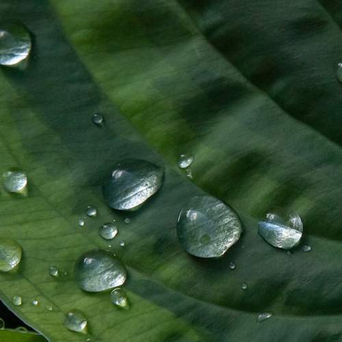 Photo #13617542