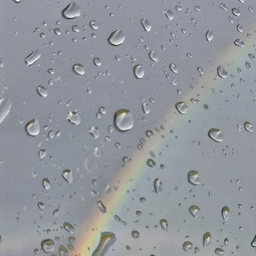 Photo #13617702