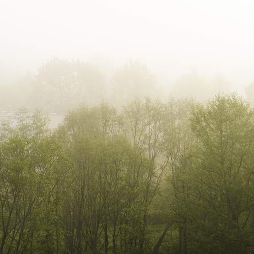 Photo #13617725