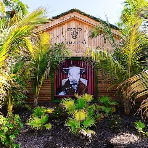 Photo #13617727