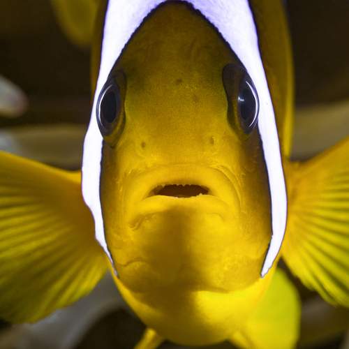 Photo #13617789