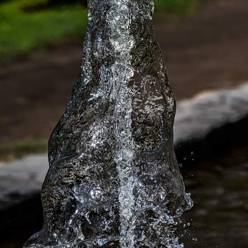 Photo #13617847