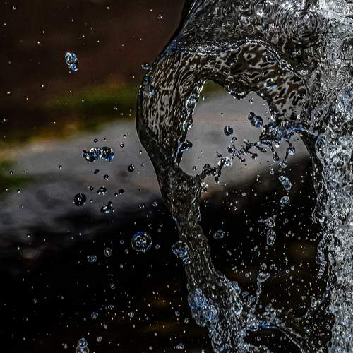 Photo #13617851