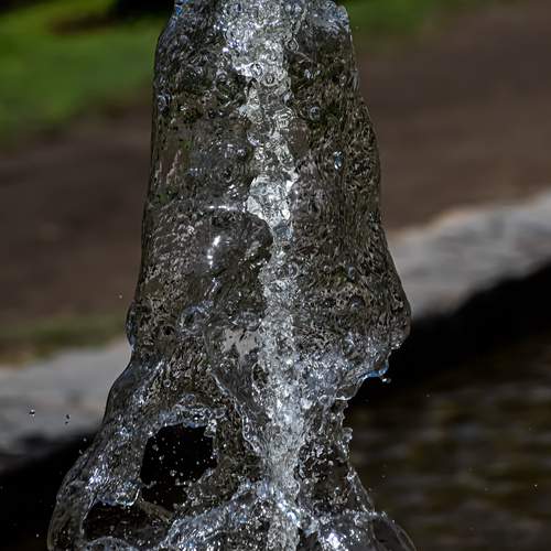 Photo #13617852