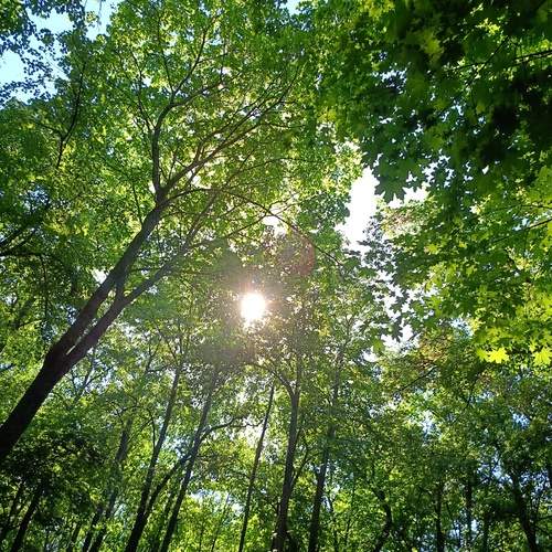 Photo #13618044