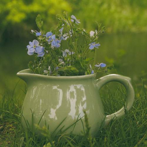 Photo #13618147