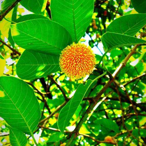Photo #13618157