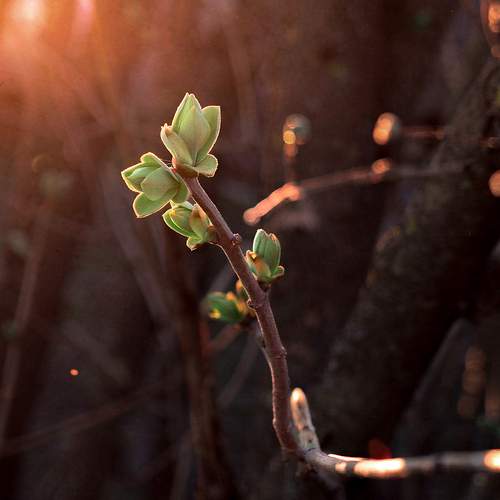 Photo #13618164